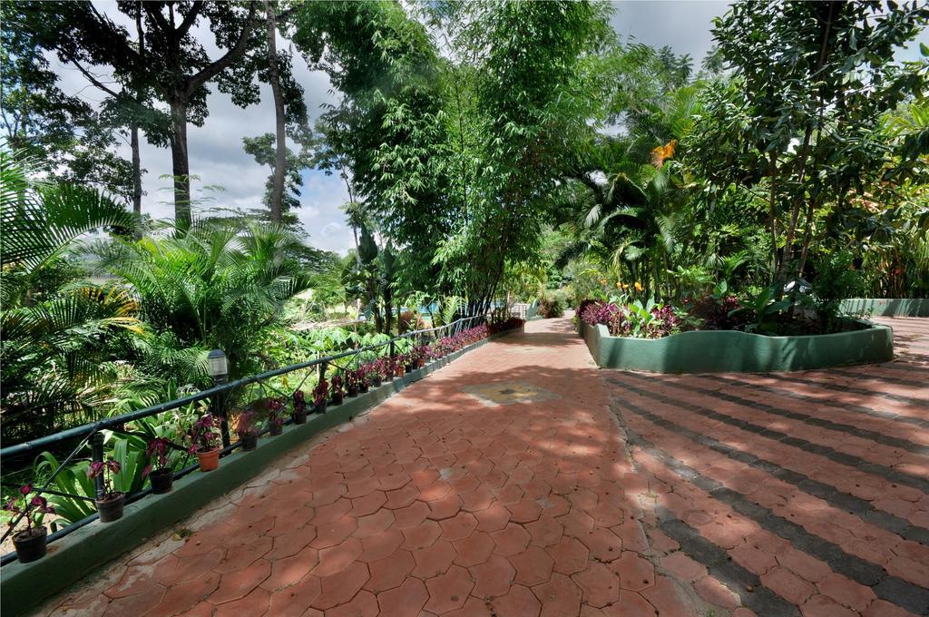 Coorg Jungle Camp Resort Suntikoppa Exteriör bild