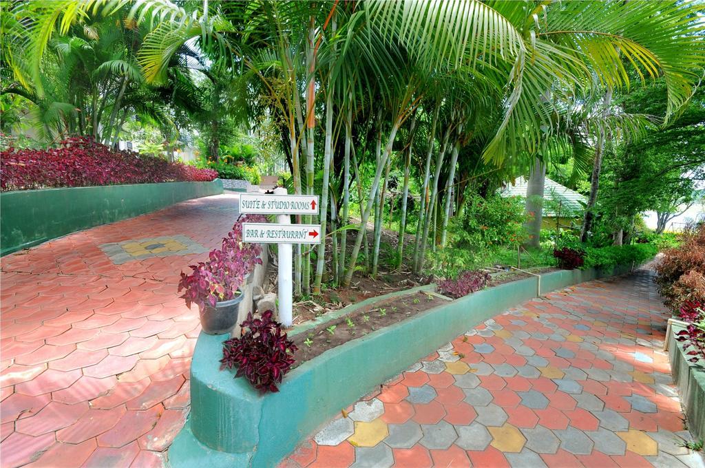 Coorg Jungle Camp Resort Suntikoppa Exteriör bild